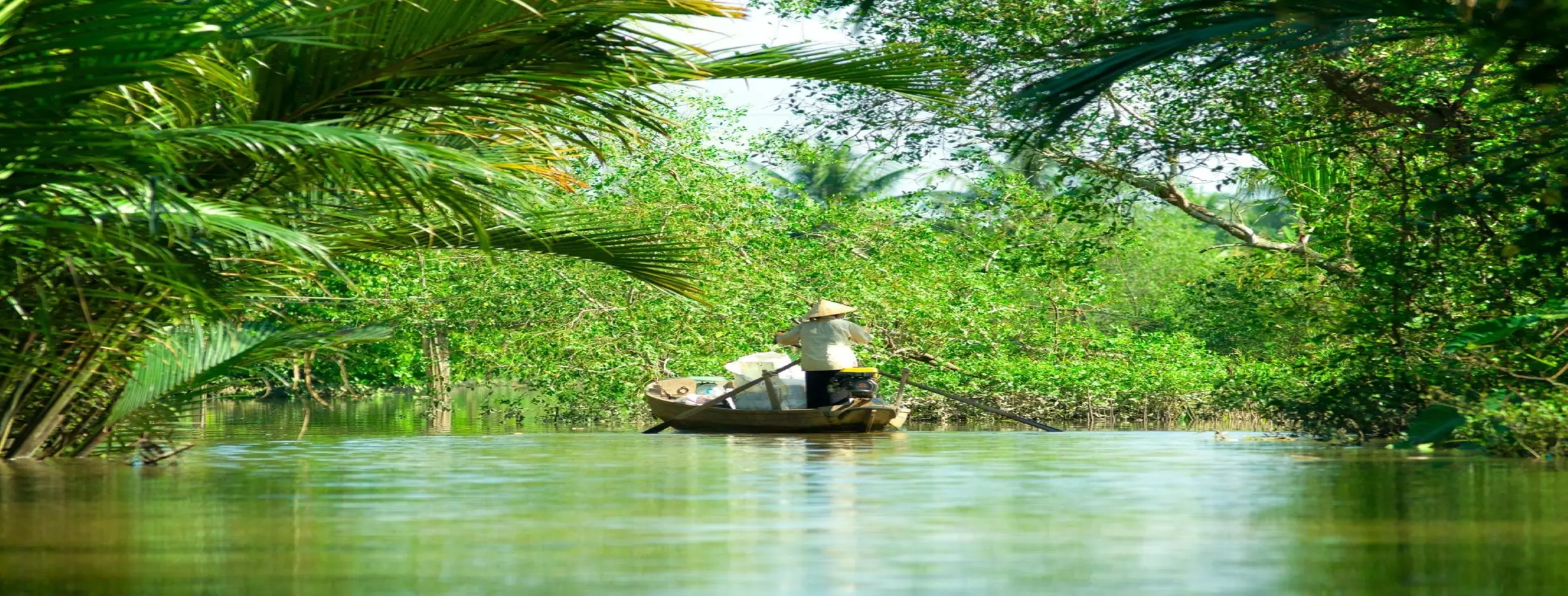Image for Mekong Delta